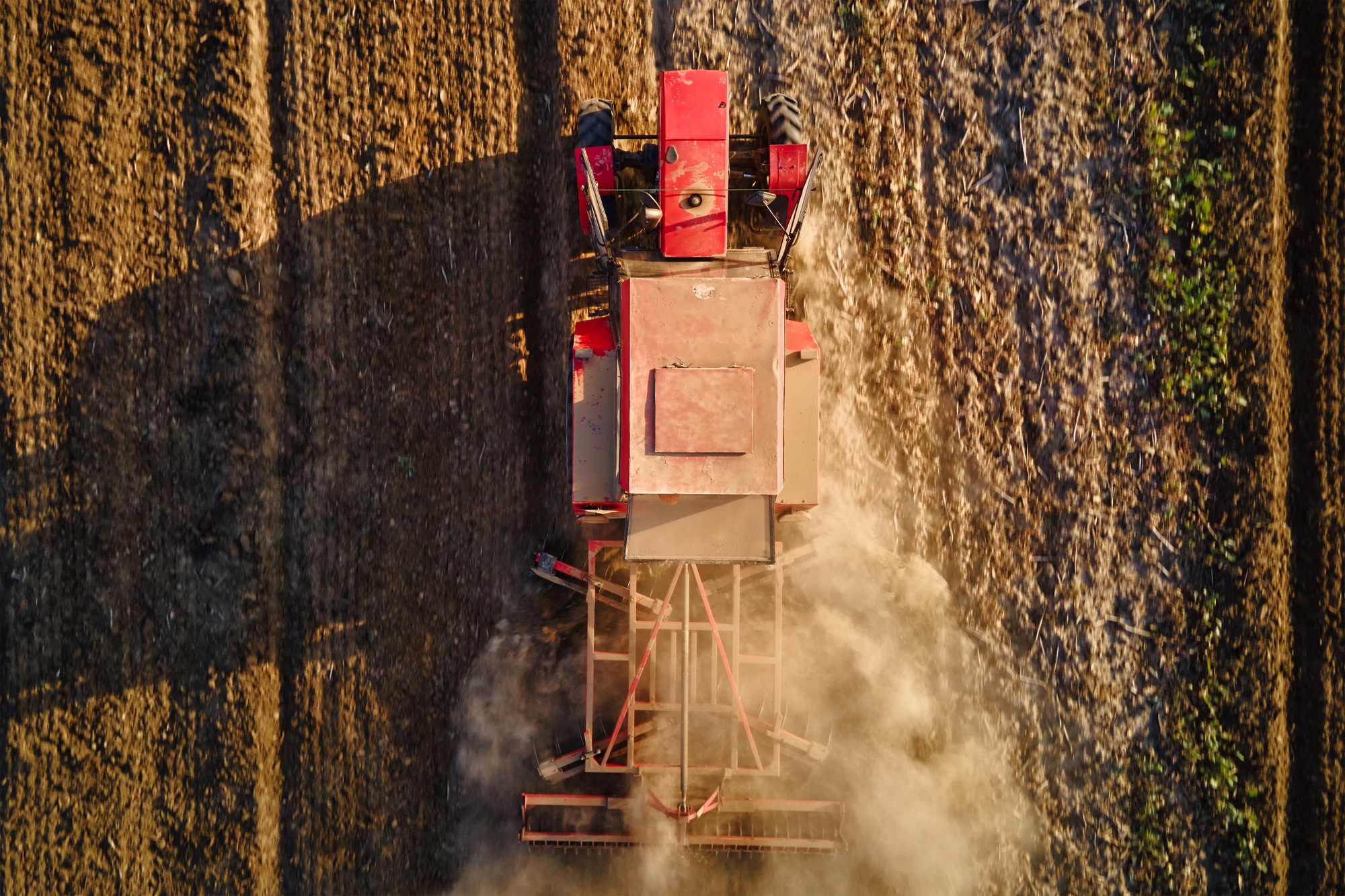 Tractor working in agricultural field, cultivating and plowing dry soil